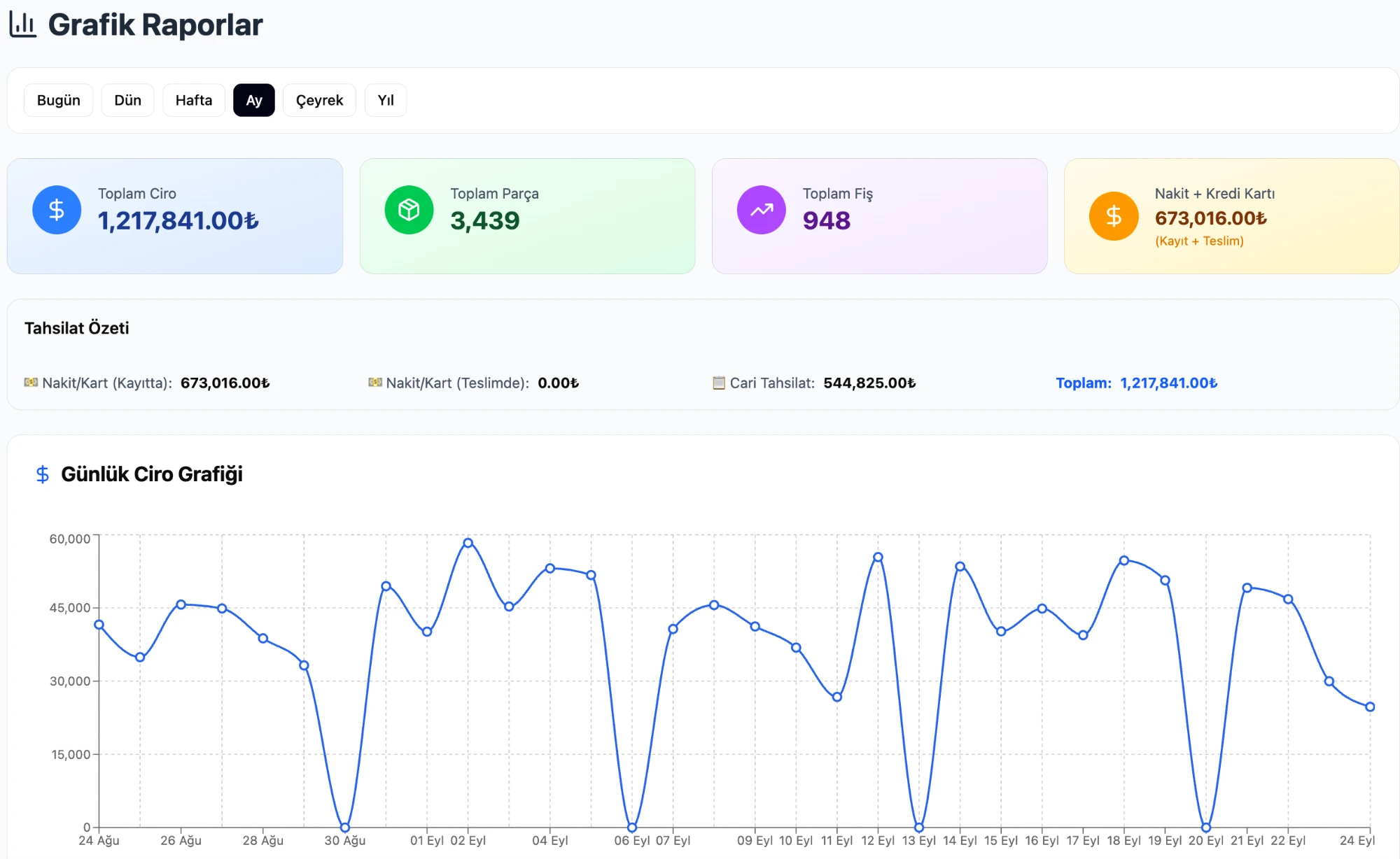 Cleandy Graphic Reports — KPI cards and daily revenue chart
